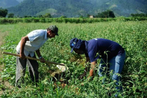 Governo federal cria programa com foco no desenvolvimento da agricultura familiar