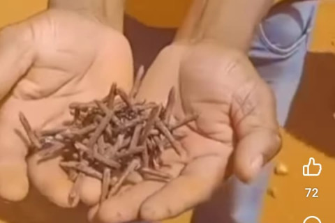 SÃO GABRIEL: Prática antidemocrática